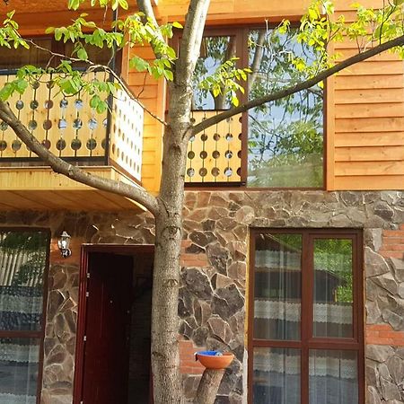Levani's Cottage Borjomi Esterno foto