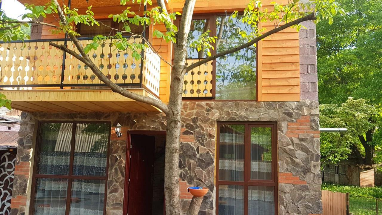 Levani's Cottage Borjomi Esterno foto