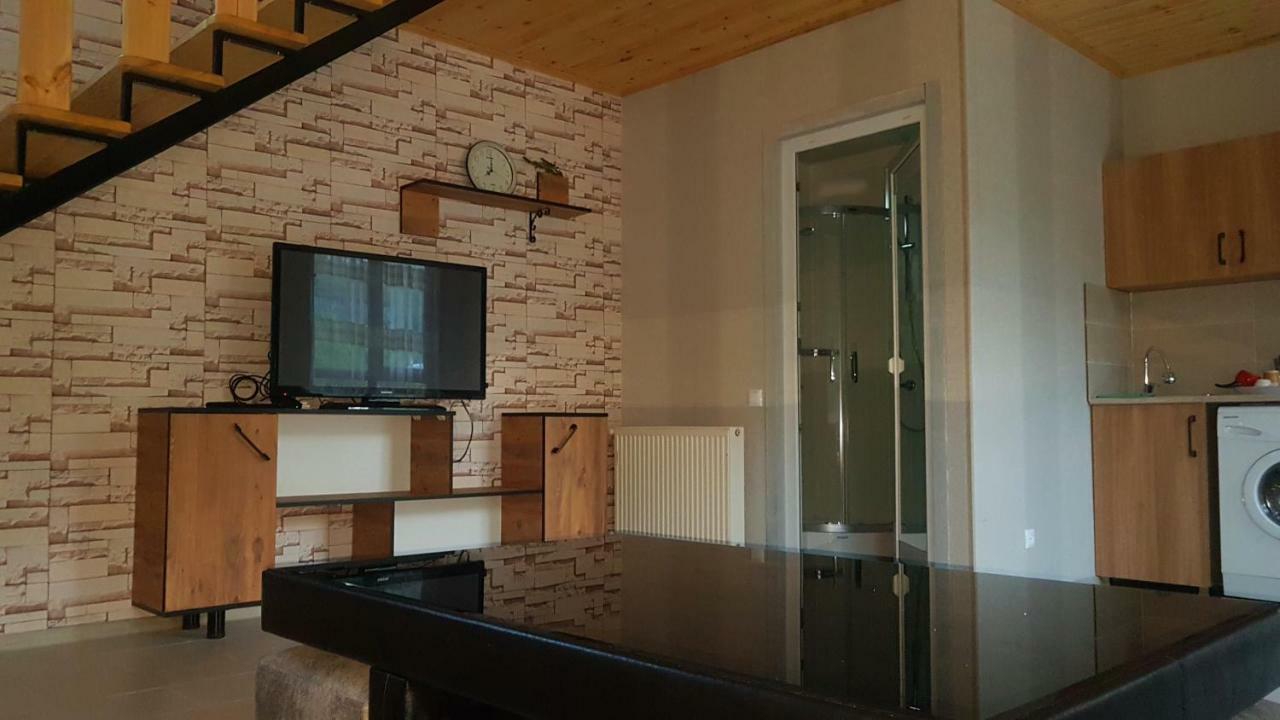 Levani's Cottage Borjomi Esterno foto